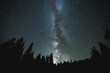 © Haley Lan/Stocksy - milky way stars above trees