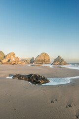 Canvas Print - Oregon, Brookings. Harris Beach