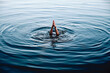 © Vaidas Bucys/Stocksy - Person submerged in blue lake with only hands visible