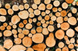 © Melanie DeFazio Photography/Stocksy - Wood pile