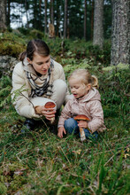 Mother And Daughter Picking Mushrooms In Forest
