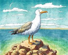 Seagull Watercolor Illustration