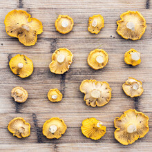 Chanterelle Mushrooms On Wooden Background