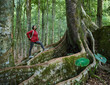 © martin puddy/Stocksy - Asian woman standing on tropical tree while trekking in rainforest