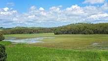 Wetlands Lagoons Environment