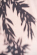 © Jarusha Brown Photography/Stocksy - Tropical leaf shadow on pink wall