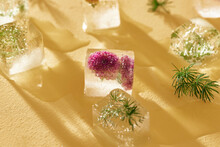 Ice Cubes With Flowers Violets On Yellow Table.