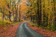 © Leslie Taylor/Stocksy - An Autumn Road In Vermont