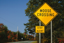 Moose Crossing Sign In New Hampshire