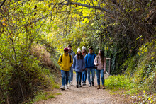 Group Of Friends Walking On Path In The Woods