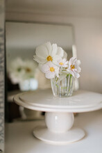 Tiny White Flowers Bouquet In Water Glass On Cake Stand On Shelf