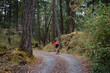 © Jarusha Brown Photography/Stocksy - Man in red jersey cycles along empty road in the forest.