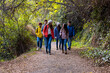 © Bisual Studio/Stocksy - Group of friends Walking On Path In the Woods