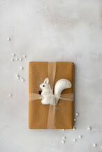 Gift With Quirky Squirrel Wrapping