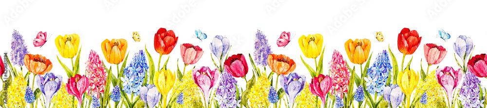 Watercolor seamless border with spring flowers: tulips, hyacinths, mimosa, crocuses, muscari, greenery, butterflies. Vintage flowers. Botanical hand drawn illustration. Garden summer flowers - obrazy, fototapety, plakaty 