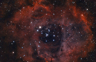 Wall Mural - the rosette nebula (caldwell 49) an emission nebula near the constellation of orion, the centre star