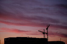 Cranes At Sunset