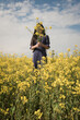 © Milou Dirks - Conceptual portrait of a girl in blue dress  standing in a field of yellow mustard seed or rapeseed flowers holding a bouquet in front of her face