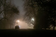 © Dave Wall/Stocksy - A car parked below an avenue of trees on a moody foggy night, UK