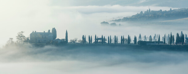 Wall Mural - Foggy morning landscape - trees and hills in fog