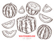 Watermelon vector sketch doodle set. Half, cutting, slices and cubic fruit. Hand drawn illustration