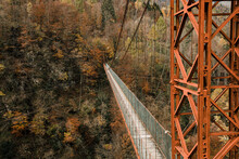 Suspension Bridge In The Wood