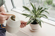 © Irina Polonina/Stocksy - A young boy takes care of home plants.
