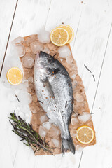 Raw dorada fish or gilt-head bream on ice with lemon slices and rosemary over white wooden background, flat lay, top view