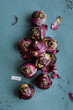 © Laura Stolfi/Stocksy - Hyacinth bulbs stack and label with botanical name