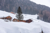 Fototapeta Do pokoju - Snow blizzard in the Tures valley.