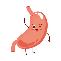 Sticker - cute organ stomach