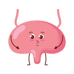 Sticker - cute organ bladder