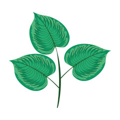 Wall Mural - leafs plant icon