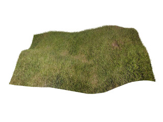 Wall Mural - grass isolated on white background. 3d rendering illustration.