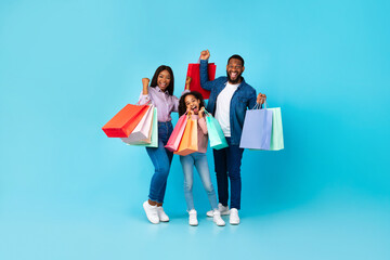 Wall Mural - African American cheerful people holding shopping bags with new clothes