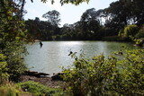 Fototapeta  - Lake in the usa
