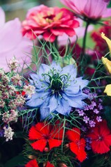 Wall Mural - bouquet of wildflowers