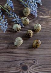 Wall Mural - several quail eggs on a wooden table