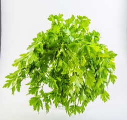 Fresh parsley leaves on a white background.