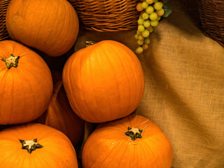 five pumpkins on a background with a canvas