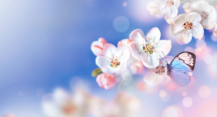 Wall Mural - blossom tree over nature background with butterfly. spring flowers. spring background.