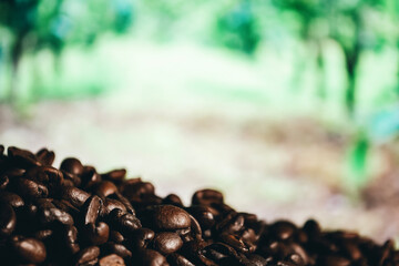 coffee beans