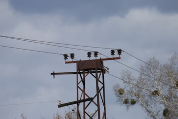 Wall Mural - Power lines against the sky