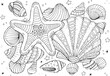 © Christina - Hand drawn coloring page for kids and adults. Summer beach, sea shells, starfish, ocean. Beautiful drawing with patterns and small details. Coloring book pictures. Vector