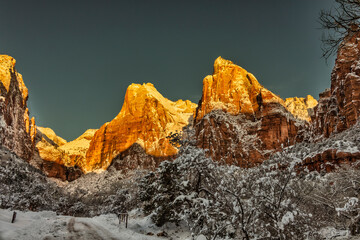 Wall Mural - Zion in winter.