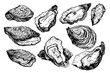 Set of oyster shells