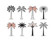 Graphic palm tree icon, logo set.