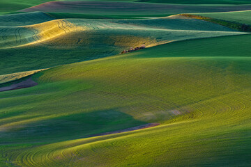 Sticker - Pattern in rolling hills of the Palouse agricultural region of Eastern Washington State.