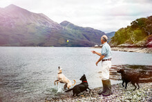 Senior Man Throwing Ball Into Loch For Dogs, Scottish Highlands