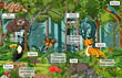 © blueringmedia - Diagram showing food web in the rainforest